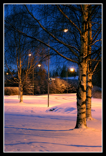 Januarikväll